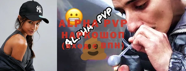 стаф Коряжма