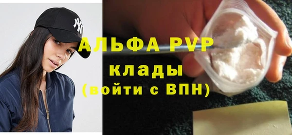 стаф Коряжма