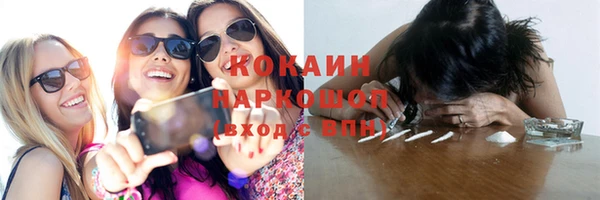 стаф Коряжма