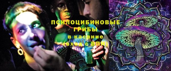 стаф Коряжма