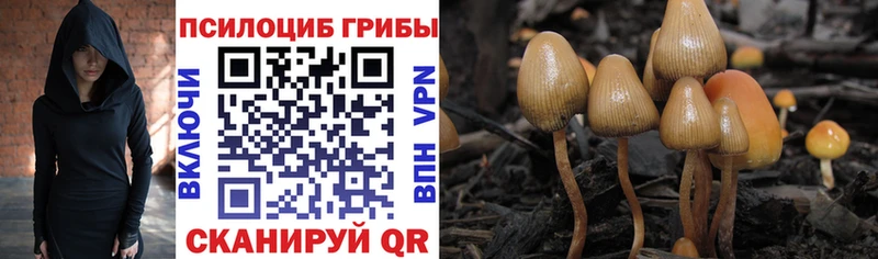 Галлюциногенные грибы MAGIC MUSHROOMS  Купить закладки  Кораблино 